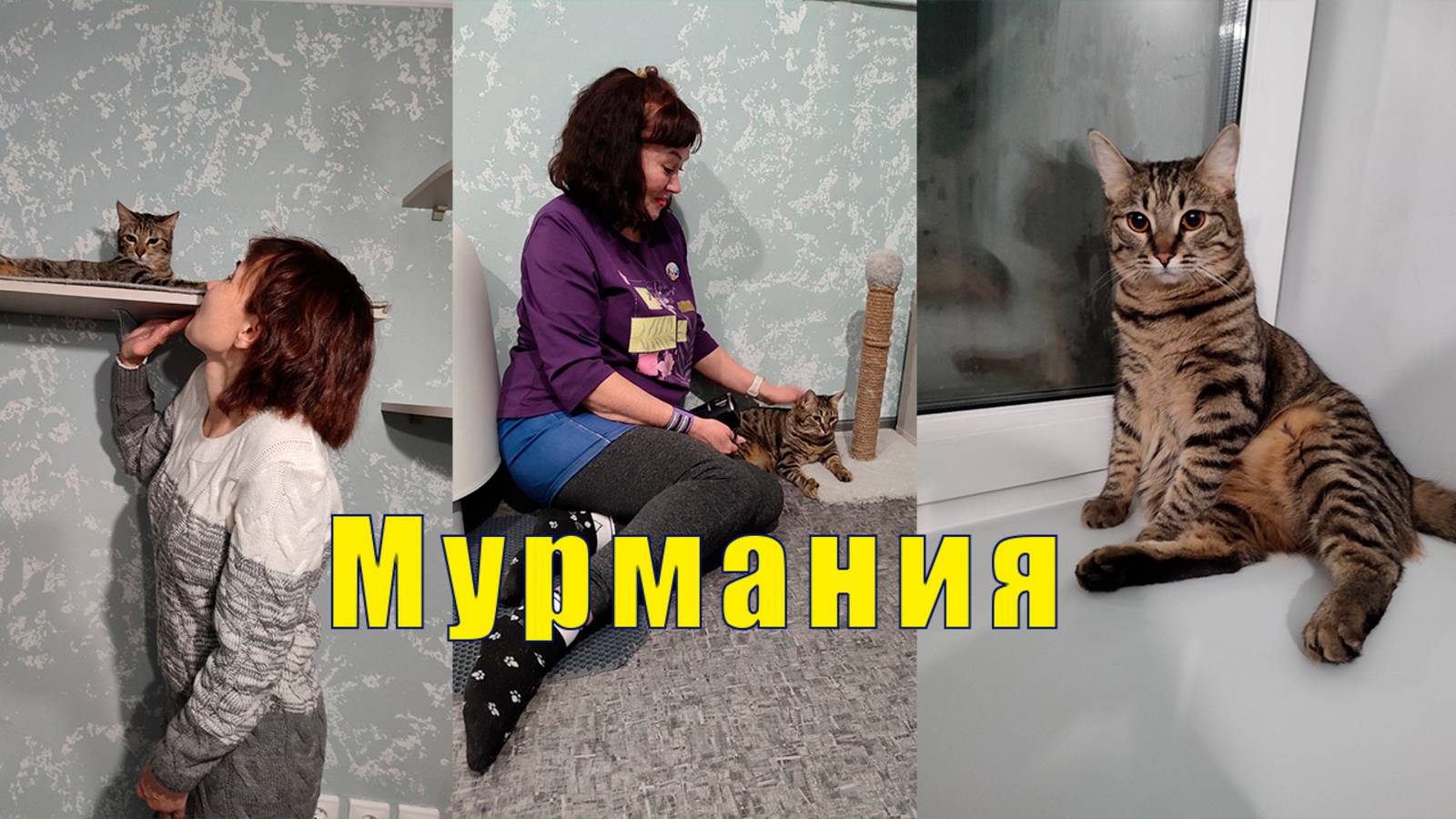 КОТЕЙНЯ МурМания Мурманск и Павел Рожков /04 и 05 мая 2025 смотреть онлайн