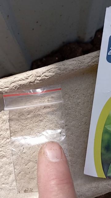 Мята овощная... смотреть онлайн