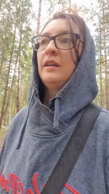Едем добывать еду! Собирайте только правильные грибы! смотреть онлайн
