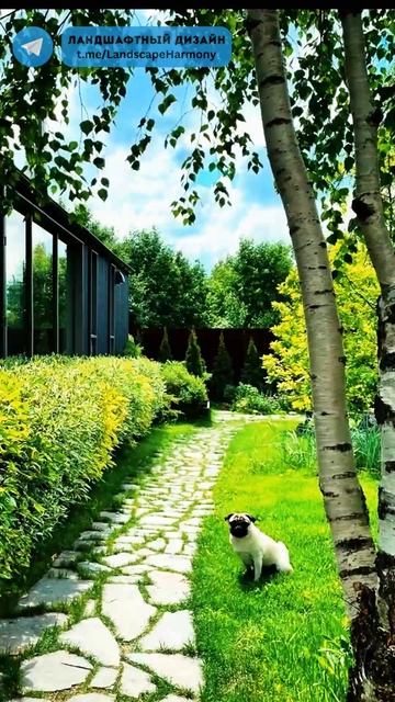 1001 идея ландшафтного дизайна для вашего уникального с