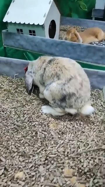 всем добра смотреть онлайн