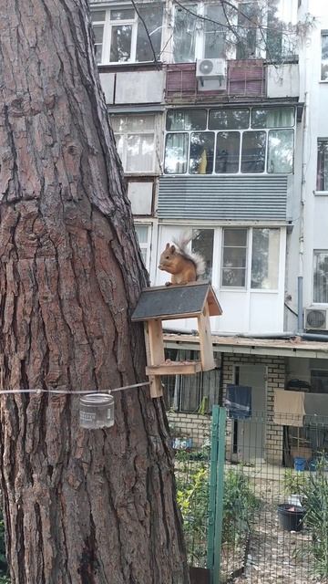 не из пугливых смотреть онлайн