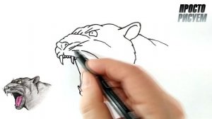 Рисуем ПАНТЕРУ шаг за шагом