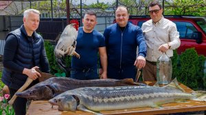 КОРОЛЕВСКАЯ УХА из ПЕТУХА и ОСЕТРА. ВКУСОВОЙ ВЗРЫВ!