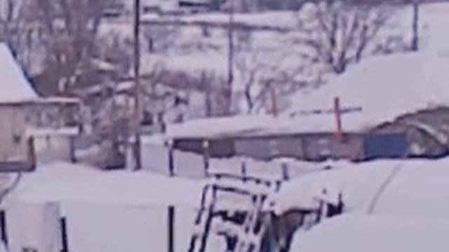 прикол в сок.3gp смотреть онлайн