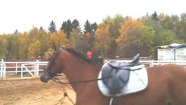 Наташа,занятие. смотреть онлайн