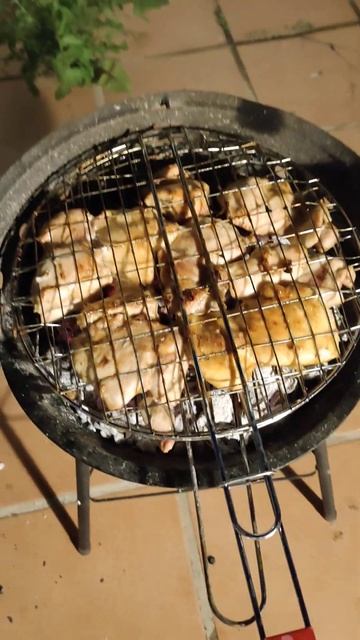 #шашлык #мясо #мангал #рек #угли