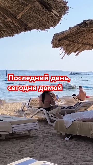 Шарм эль Шейх. 10 марта 2025 года #море #египет #турывегипе смотреть онлайн