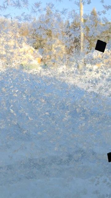 Все замерзло, даже окна!!! #дача #участок #дом #ремонт #ср смотреть онлайн