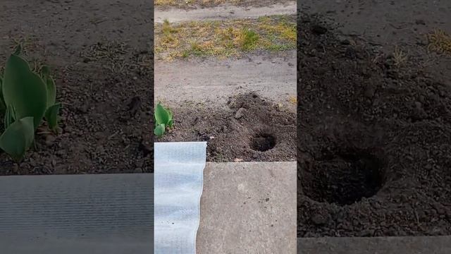 уход и забота. смотреть онлайн