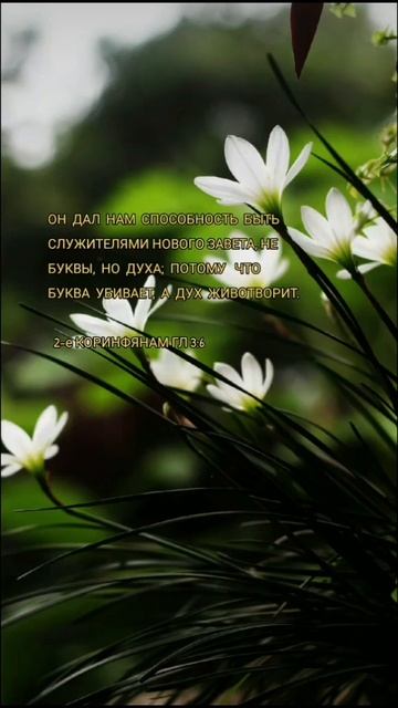 Он дал нам способность быть служителями Нового Завета смотреть онлайн