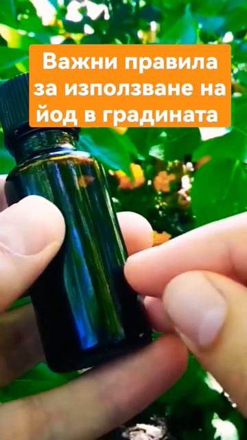 Важни правила за използване на йод в градината