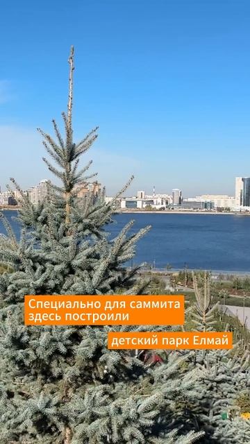 Пенетрон Адмикс для саммита БРИКС