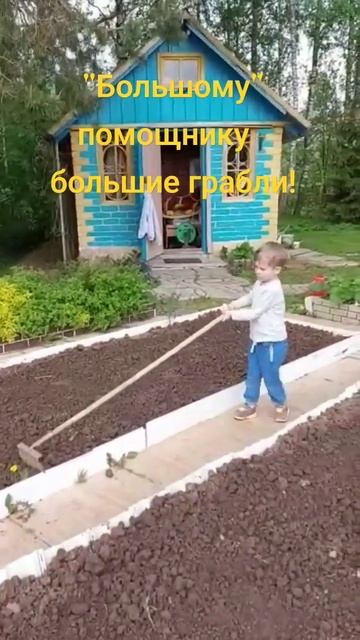 "Большому" помощнику- большие грабли! смотреть онлайн
