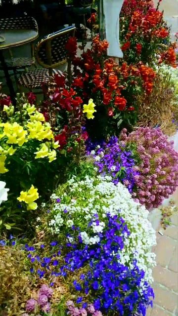 много разных цветов сегодня 🌞 פרחים יפים смотреть онлайн