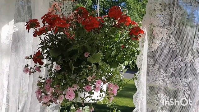 Хорошо, что День рождения только раз в году! смотреть онлайн