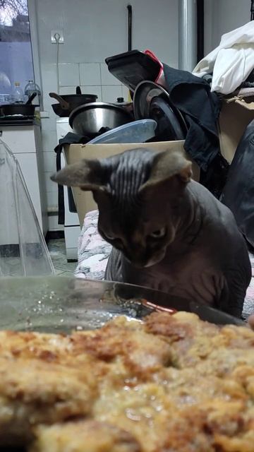 Мясо! Не хочу) смотреть онлайн