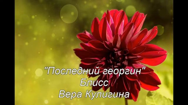 Последний георгин смотреть онлайн