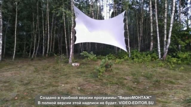 Фестиваль Длина волны смотреть онлайн