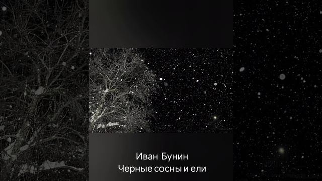 Иван Бунин "Чёрные сосны и ели" #стихи #серебряныйвек #з смотреть онлайн