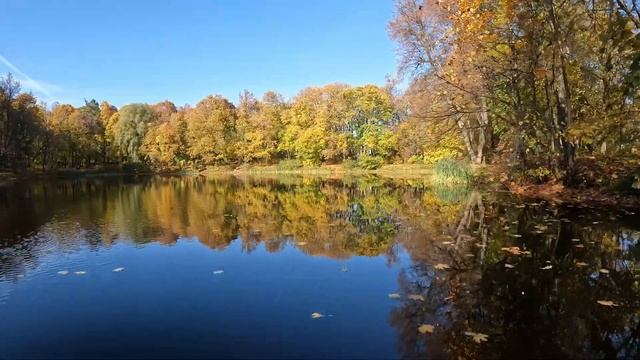 Осенние виды усадьбы Воронцово в Быково смотреть онлайн
