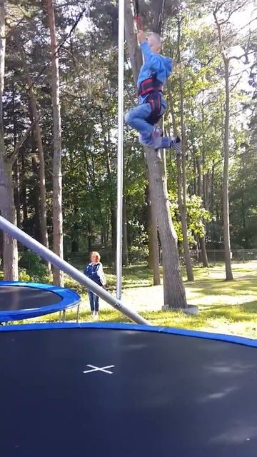 Мишка прыгает на батуте, высоко, пытается сделать саль