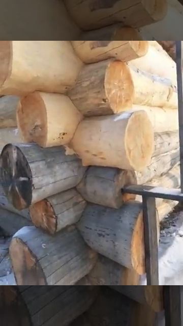 Сруб бани из кедра. Результат. Часть 5 смотреть онлайн