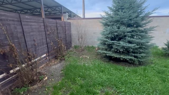 обход МИМАСАМИ своих владений