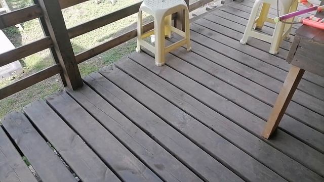 15-16.04.2025 ПЕРВЫЕ РАБОТЫ/НАШЛА ПЕРЕЗИМОВАВШУЮ ПЕТУНИЮ/ И? смотреть онлайн