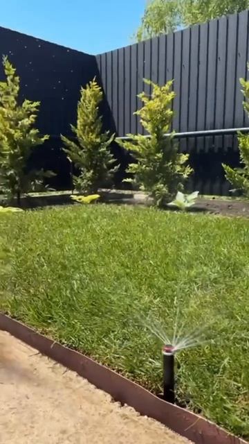 Автополив в деле #garden #автополив #газон #landscape #теплицау смотреть онлайн