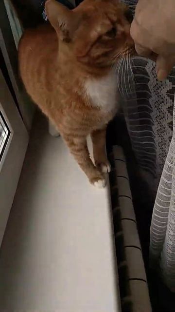 Чудеса если,вы без проблем. смотреть онлайн