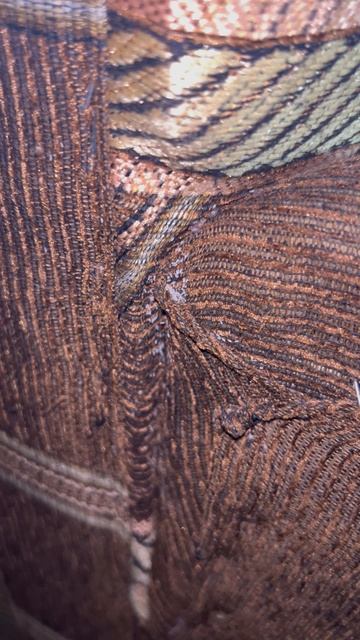 Это яйца клопов?