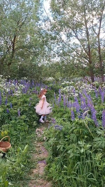 съёмка в люпинах с маленькой Ариной #фотографпавловск смотреть онлайн