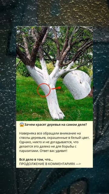 😱Зачем красят деревья на самом деле? смотреть онлайн