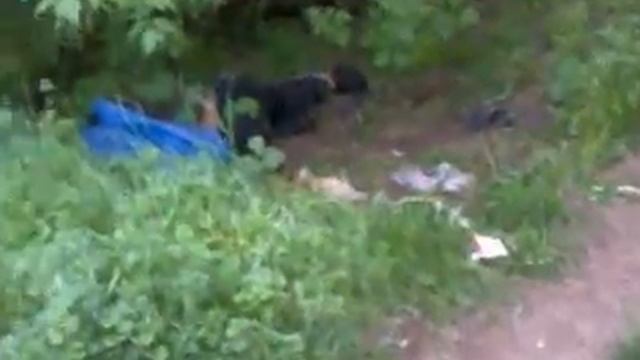 РОТА ПОДЪЕМ!!!