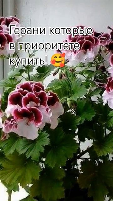 Спасибо за внимание 😘 смотреть онлайн