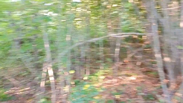 С чего начинается Расчистка Участка?) Труд на отдыхе)) смотреть онлайн