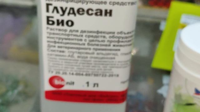 8.05.2025г Магазин для Голубей. смотреть онлайн