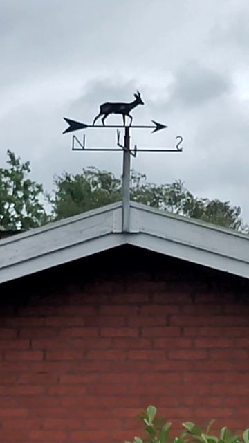 Флюгер. смотреть онлайн