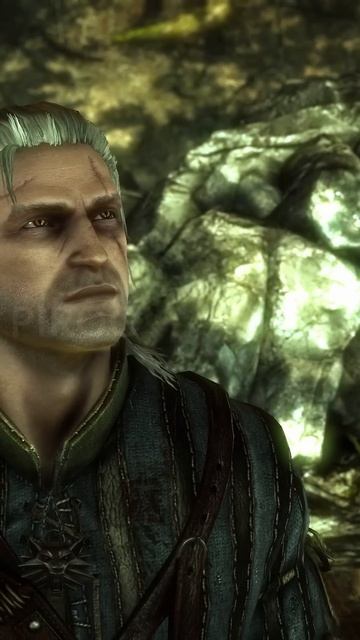 Трезвый тролль | Ведьмак 2 #shorts #witcher #ведьмак #мемы #игры #рекомендации #тролль смотреть онлайн