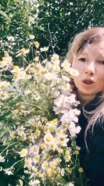 Полевые цветы #уралочка #деревенскаяжизнь #цветы #поле смотреть онлайн