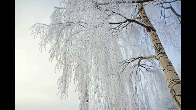 Красивый романс "Белая берёза" на стихи Сергея Есенина смотреть онлайн