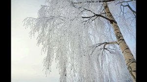 Красивый романс "Белая берёза" на стихи Сергея Есенина