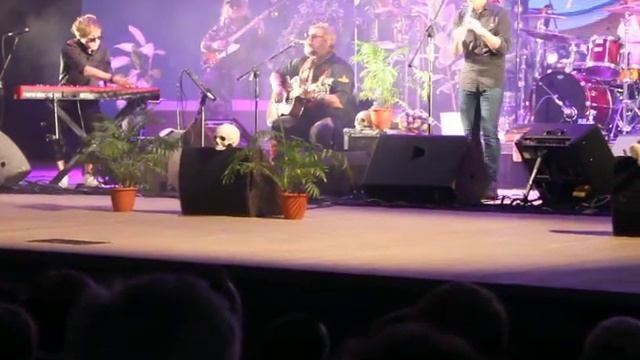 Аквариум в Зеленограде 17.02.20 - Анютины глазки смотреть онлайн