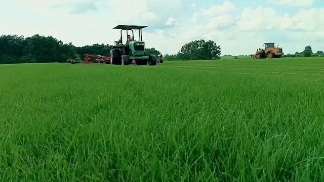 Покос рулонного газона смотреть онлайн