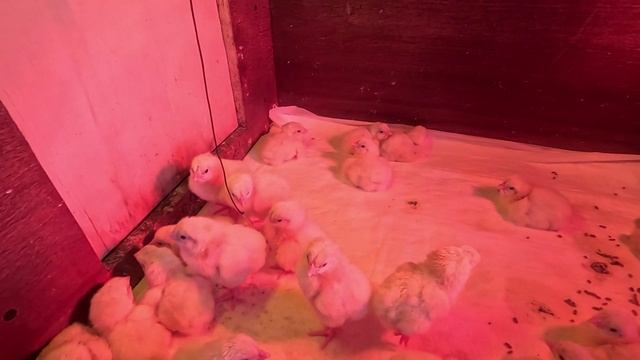 Работа идёт полным ходом.. Удовольствием не из дешёвых... смотреть онлайн