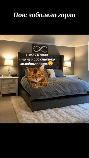 Мой тгк: "кактус с евразии" #cat #memes #прикол #мем #рекоменд смотреть онлайн
