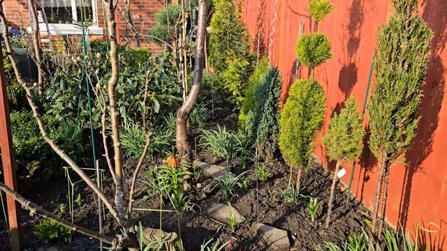 Весенний сад,лилии, фиртилярии,камелии в цвету. смотреть онлайн