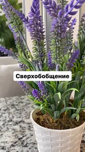 Подпишись на канал ✅ Текст в комментариях 📎 #когнити? смотреть онлайн