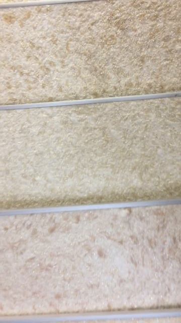 Новая серия ЭКОЛАЙН жидких обоев Silk Plaster